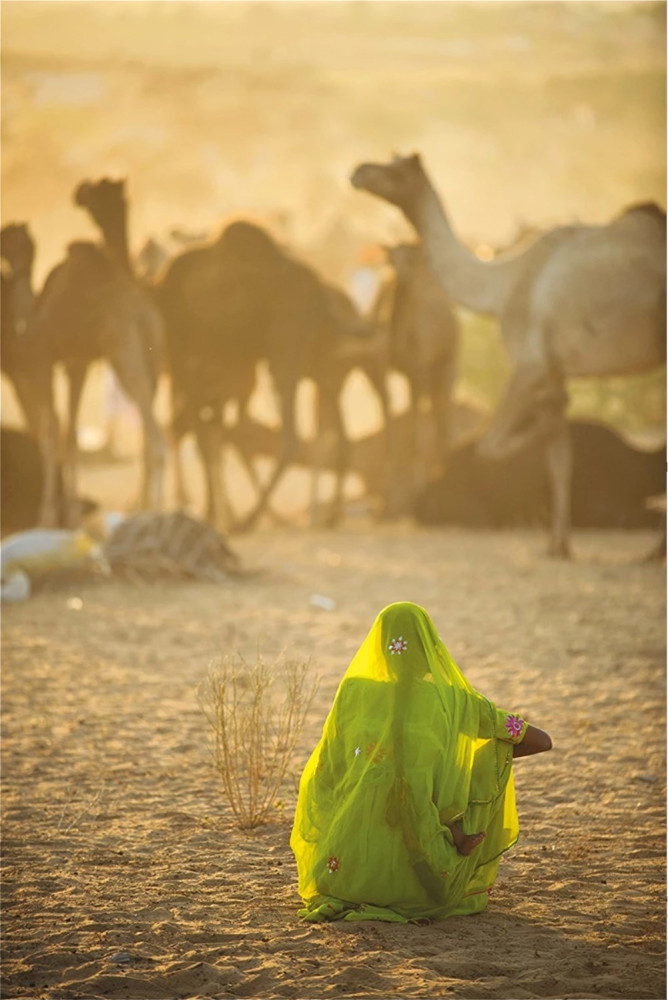 Пазл. National Geographic. Женщина в сари, 1000 эл. (Clementoni) - фото2